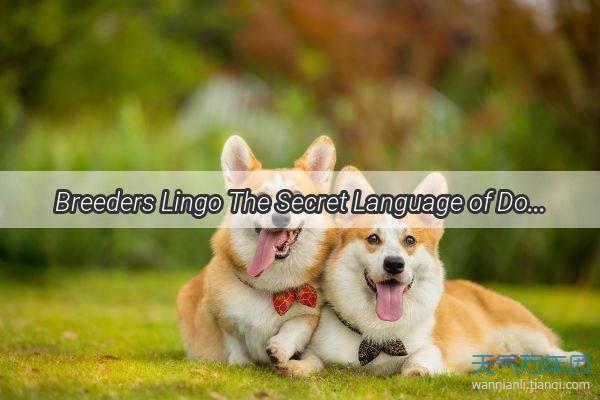 Breeders Lingo The Secret Language of Dog Enthusiasts Unveiled